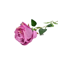 Trandafir roz 380/17 75x10cm