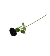 Trandafir negru 2453/51 70x9cm