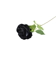 Trandafir negru 2453/51 70x9cm