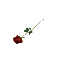 Trandafir rosu 380/10 75x9cm