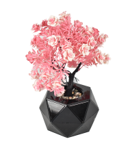 Copacel decorativ in ghiveci gln 579a roz
